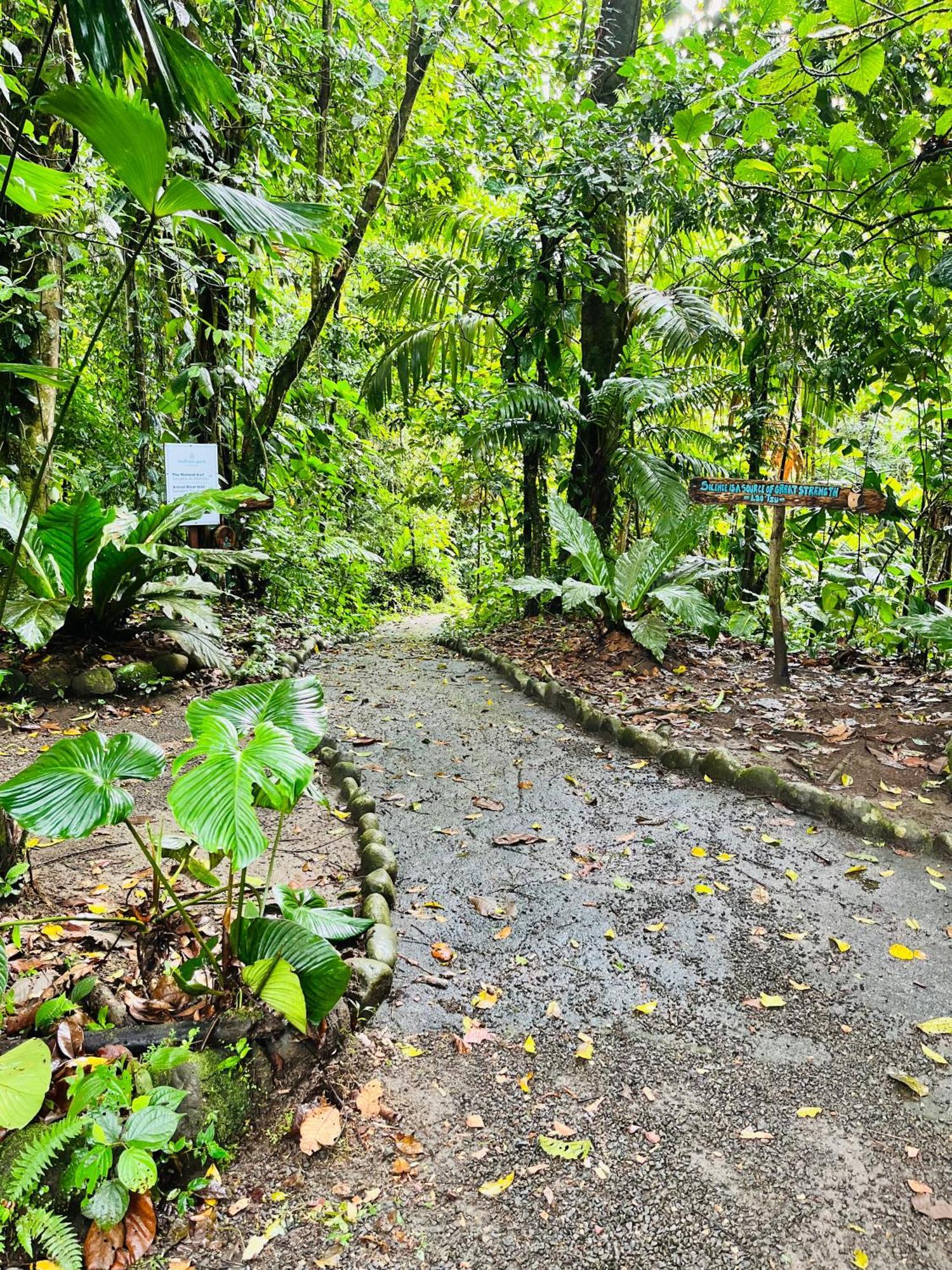 Wellness Park Cr Villa La Fortuna Exterior photo