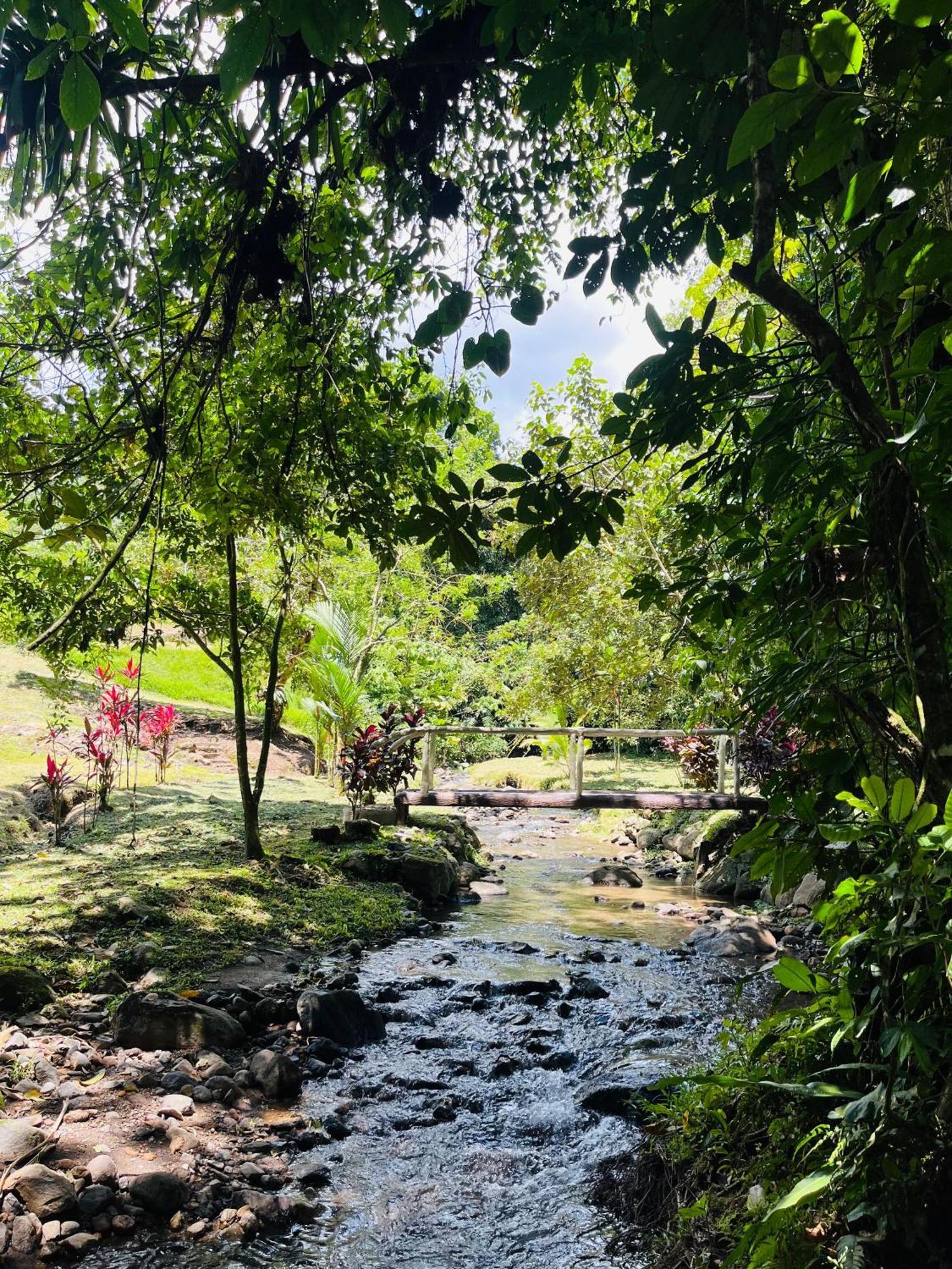 Wellness Park Cr Villa La Fortuna Exterior photo